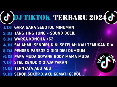 DJ TIKTOK TERBARU 2024 || DJ GARA GARA SEBOTOL MINUMAN || DJ TANG TING TUNG || DJ WARGA +62