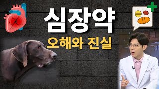 심장약을 먹으면 신장이 망가지나요?ㅣ심장약은 늦게 먹일수록 좋나요?ㅣ동물병원사용설명서