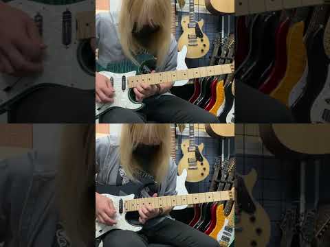 The Trooper - Iron Maiden 『Guitar solo cover』