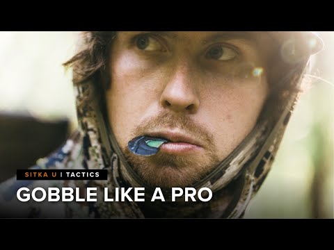 Step-By-Step Guide to Gobbling With a Mouth Call