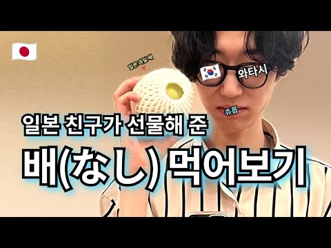 일본 친구가 준 배(なし) 먹어보기🍐 | 가위로 과일을 깎을 수 있을까? | 9월, 다시 더워진 날씨 --- 【여기는 오사카🇯🇵】