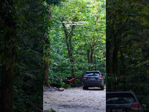 Outdoor therapy with Subaru Forester 🥰🥰 #outdoortherapy #hammocklife #hammocklifestyle