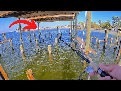 Fishing these Backyard Piers and Inshore Creeks for my Dinner!