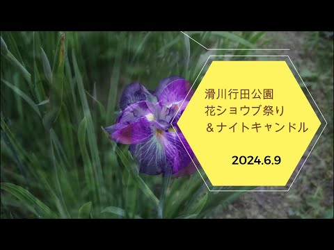 2024.6.9　行田公園花しょうぶ祭り＆ナイトキャンドル