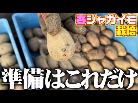 【大風の中の土作り】風で飛ばされるぅ～【春ジャガ】【キタアカリ】【メークイン】【男爵】【出島】【デストロイヤー】