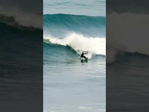 Kookapinto Shapes | Fishy Noserider #surfing #nobodysurf