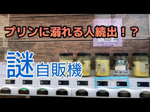 【石川グルメ】プリンに溺れる人続出の謎自販機買ってみたらプリンに溺れた件【金沢】