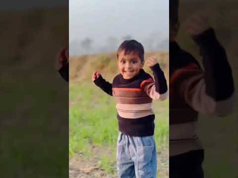 Fun day in fields #punjab #shortsvideo #viral #abcsand123s #fields #khet #punjabimunday