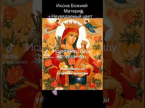 Чудотворная #молитва #пресвятаябогородица #Неувядаемыйцвет #musicaparadormir #любовь #мир #здоровье