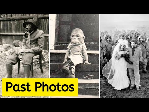 30 Captivating Historical Photos That Will Take You on a Journey Through Time