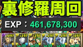 【ランク上げ】裏修羅の幻界をキリンずらしで楽々周回【パズドラ】