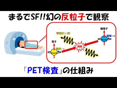 【まるでSF!!】PET検査の仕組み。ロマン溢れる最先端のガン検査手法。【反粒子】【量子論】/Mechanism of PET examination.