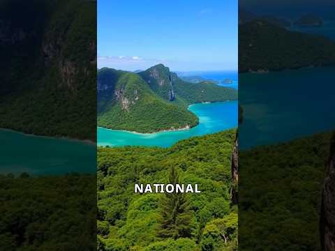 Discover Australia's Hidden Gem:🇦🇺 Whitehaven Beach #australia #travel Subscribe for daily journey 🧳