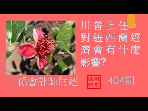 #川普还未上任，民众意识形态已经发生变化， 未来對紐西蘭經濟还會有什麼影響？【孫會計師財經周刊】第404 期 （2024.11.29）