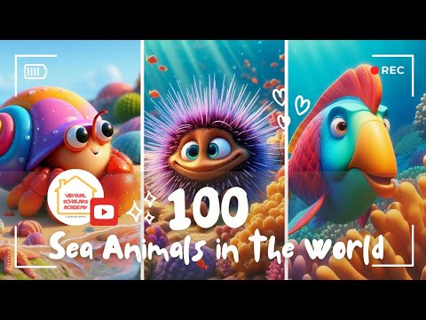 Explore The Amazing Sea Creatures In Our World 🦀 🐳 🦈 🐠  #seacreatures