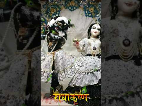 Vrindavan me hukum chale meri Radha Rani ka #radheradhe #radhakrishna #iskcon #krishnastatus