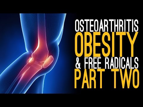 Osteoarthritis, Obesity and Free Radicals with Dr. Griffin [Part 2]