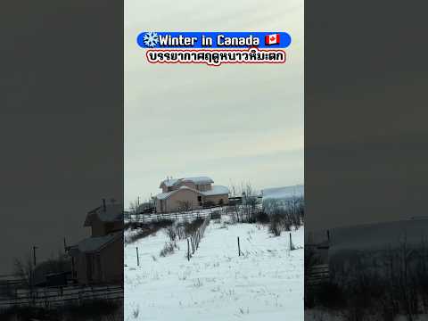 ❄️☃️Winter in Canada 🇨🇦 บรรยากาศฤดูหนาวยามหิมะตกที่แคนาดา#winter,#หิมะตก,#หิมะในฤดูหนาว,#shorts,