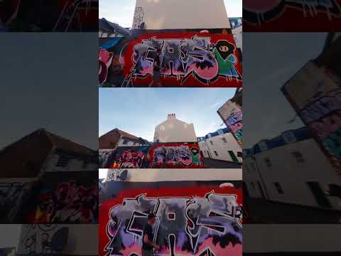 Graffiti FPV Bombed by Seagulls