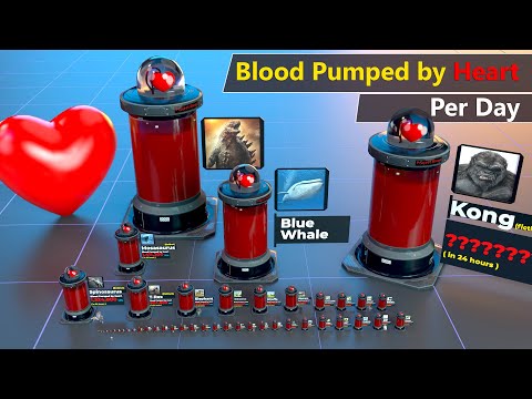 Blood Pumped by Heart per day Comparison | Animal | bird | Godzilla | Kong