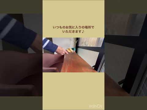 Café et.（コーヒーと…)  # 5  【コーヒーととろ〜り卵サンド】