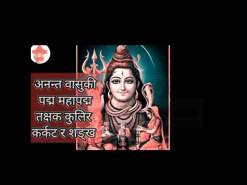 नागपञ्चमी २०८१ पुजा को शुभ मुहूर्त #नागपन्चमी२०८१ #धार्मिककुरा #dharmikkura