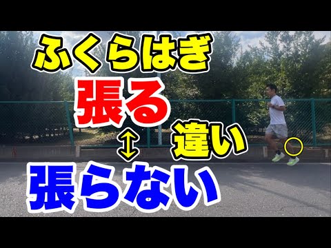 ふくらはぎ張る走りと張らない走りの違い