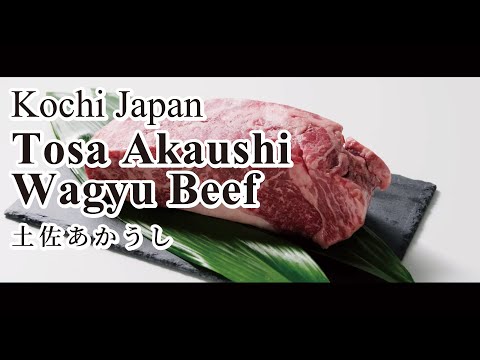 Tosa Akaushi Wagyu Beef