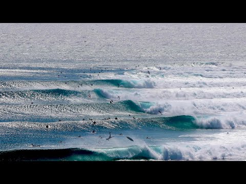 【低気圧スウェル🇦🇺】スナッパーロックスに来るサーファーたちが酷すぎるので晒します