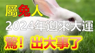 生肖兔在哪年迎來大運？2024年是否為兔人換運之年，2024年即將到來，許多人對於自己的命運變遷心懷期待。而對於生肖兔的人來說，2024年被認為是兔人換運之年。那麼，生肖兔在哪年迎來大運呢？十二生肖