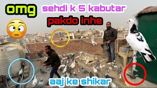 Sher k dono bacche nikal gye 😨 sehdi ki chat pr jakar Zabardast ladaiyya | 5 kabutar pakde