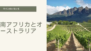 南アフリカとオーストラリア #ワイン #ワイン豆知識  #ワインのある暮らし #雑学 #winelover