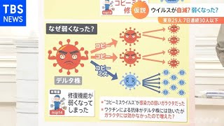 陽性者急減のワケは「ウイルスの自滅？」仮説を検証