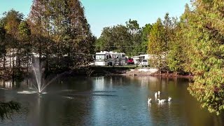 Ponderosa RV Park - Kissimmee, Florida