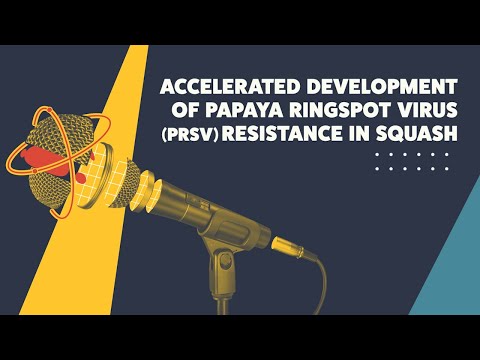 Accelerated Development of Papaya Ringspot Virus (PRSV) Resistance in Squash