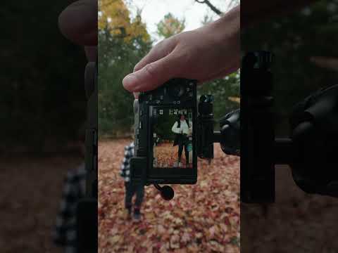 POV Fall Photos with the Sony A7CII