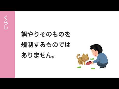 動物たちに餌をあげたあとは、きちんと掃除をしましょう！