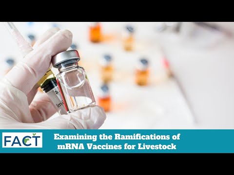 Examining the Ramifications of mRNA Vaccines for Livestock