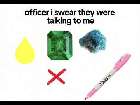 officer i swear they were talking to me