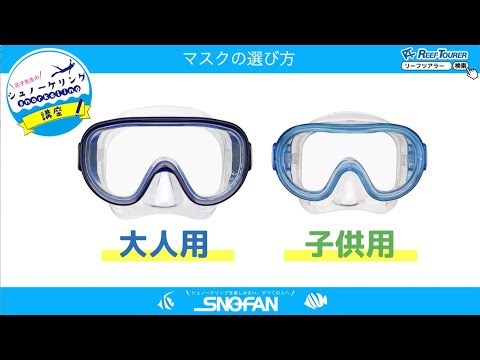 シュノーケリング器材の選び方【シュノーケリング初心者向け】