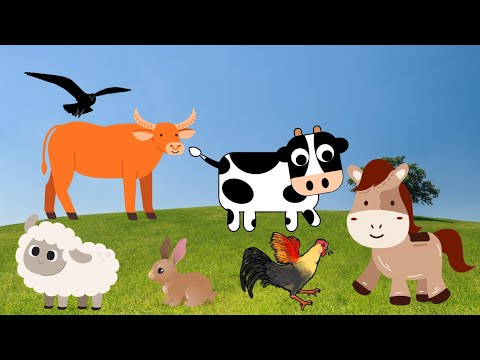 The sounds of cute farm animals around us - chicken buffalo goats cows horses birds - animal soundsM