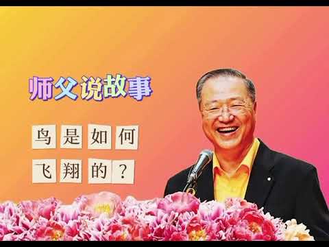 鸟是如何飞翔的？