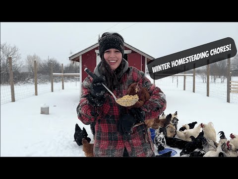 How To Incubate Chicken Eggs | Winter Homestead Chores