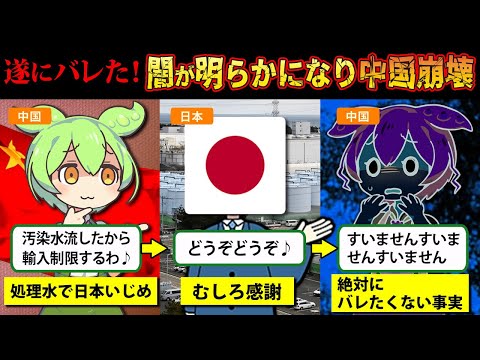 【実話】処理水問題で日本叩きに夢中になっていた中国。それがきっかけでとんでもない事実が発覚してしまうことに【ずんだもん＆ゆっくり解説】【ずんだもん探偵～Z～第2弾】