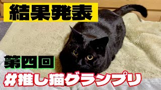 第４回＃推し猫グランプリ 2023 結果発表　№463