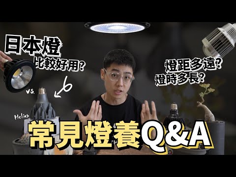 價格高真的比較好用？我推薦這幾款！燈養常見Q&A🙋🏻‍♂️燈距多遠？照燈多久？【植物燈經驗分享】