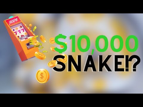 Unboxing one of our most expensive snakes ever!