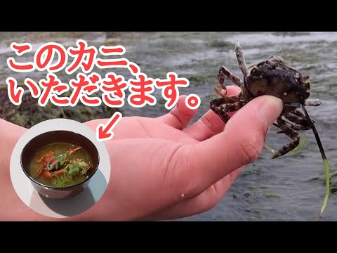 【北海道・磯遊び】イソガニを求めて磯場へ！出汁がヤバイぞ🤤