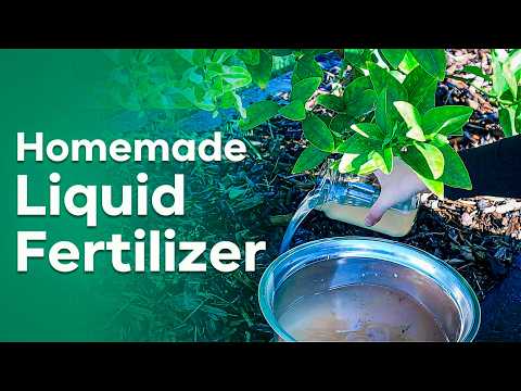 5 Easy Homemade Liquid Fertilizers from Kitchen Waste! | DIY Liquid Fertilizers from Kitchen Waste