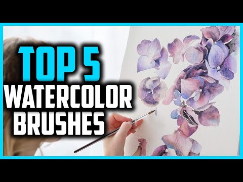 Top 5 Best Watercolor Brushes In 2024